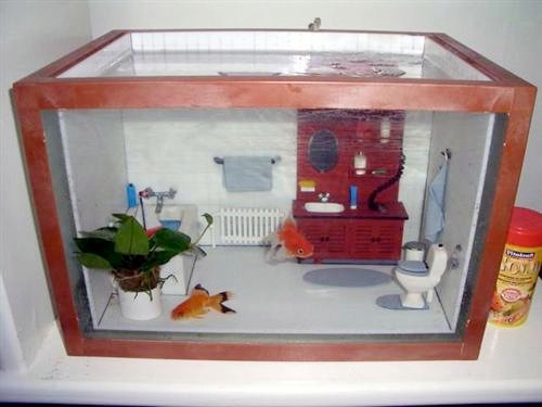 DIY-Fish-Tank-House.jpg