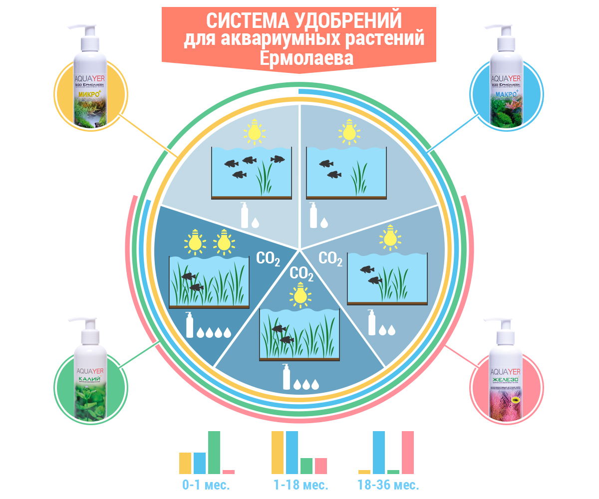 yermolayev-system-infographic.jpg