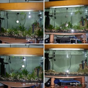 мой аквариум!